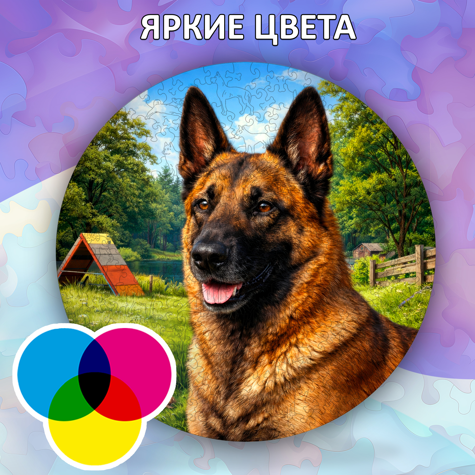 Деревянный пазл Бельгийская овчарка (малинуа) / 30х30см